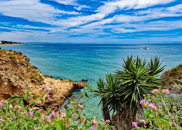 Jardins Do Mar - By Bedzy 阿尔布费拉